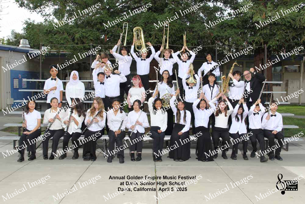 Musical Images